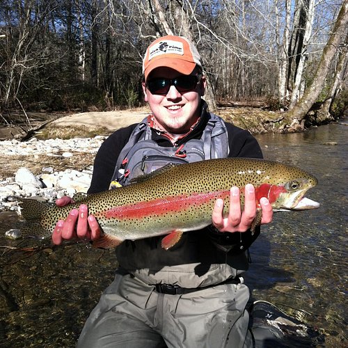 THE 10 BEST North Carolina Mountains Fishing Charters & Tours