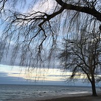 Coronation park, view on the lake.