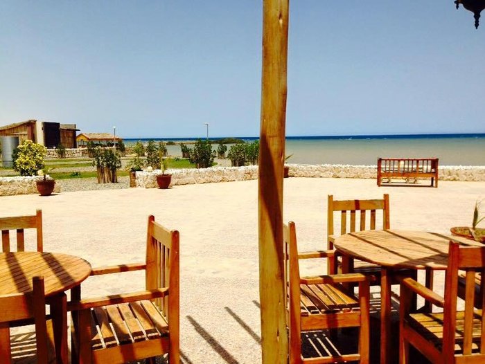 Coastal Bliss in Port Sudan: Your Ultimate Travel Companion for a Memorable Trip - Exploring Port Sudan