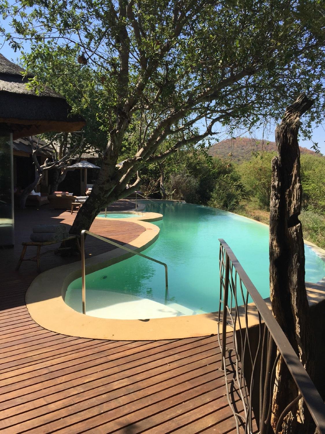 Molori Safari Lodge Pool: Pictures & Reviews - Tripadvisor