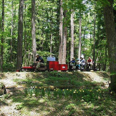 中部地方の遊園地 ベスト10 トリップアドバイザー 中部地方の遊園地 ベスト10 トリップアドバイザー