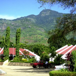 View from rooms