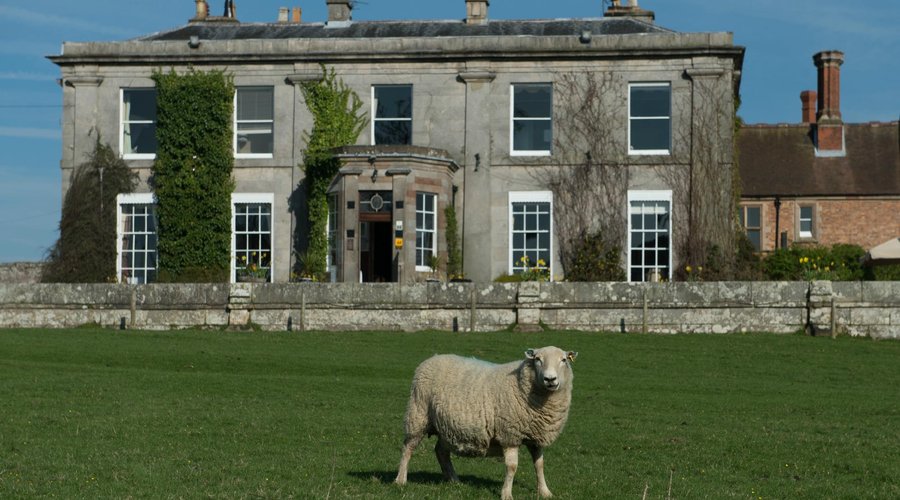 Sweney Hall Hotel Picture