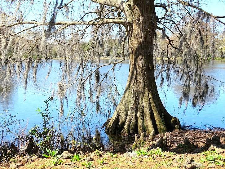 THE 10 BEST Wilmington Parks Updated 2024 Tripadvisor