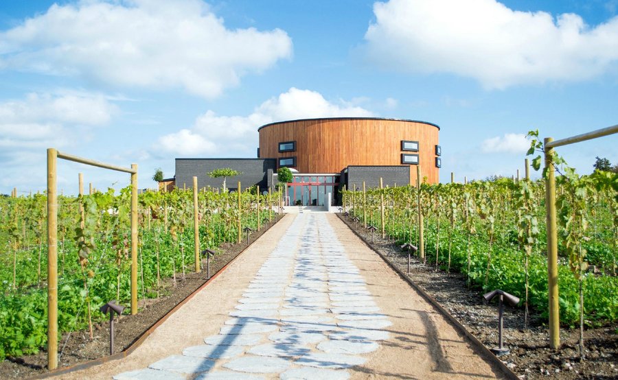En promenad genom vingården leder till entrén till Nordic Sea Winery Showroom.