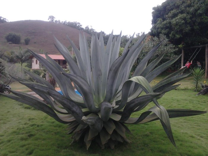 AGAVE AZUL VIAGENS E TURISMO LTDA - PAGINA INICIAL