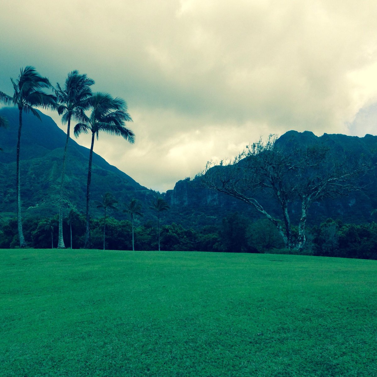 Pali Golf Course (Kaneohe) 2022 Lohnt es sich? (Mit fotos)