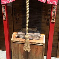 こんな所で寝てる。