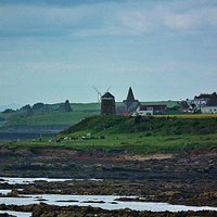 St Monan's, Summer 2014
