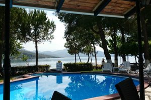 Pool & Beach