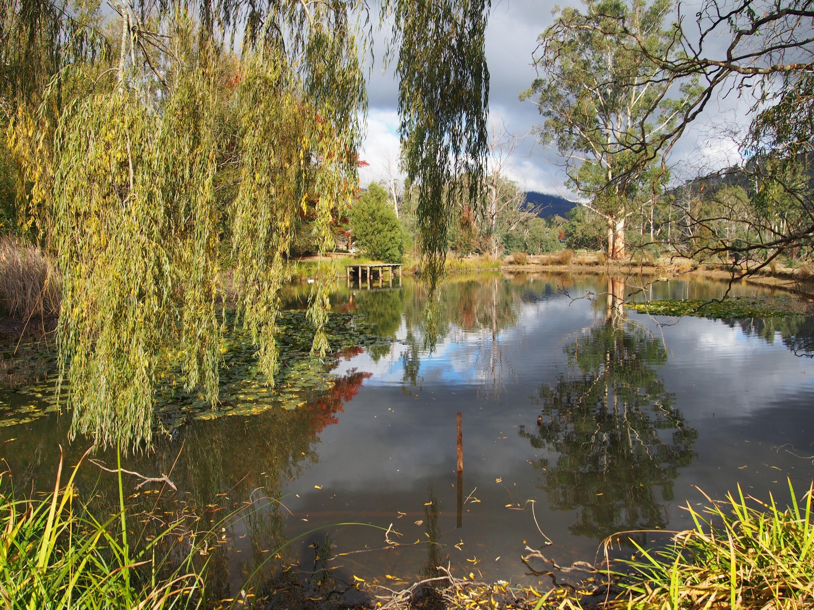 MARYTON PARK COUNTRY COTTAGES (Marysville, Australie) - Tarifs 2024