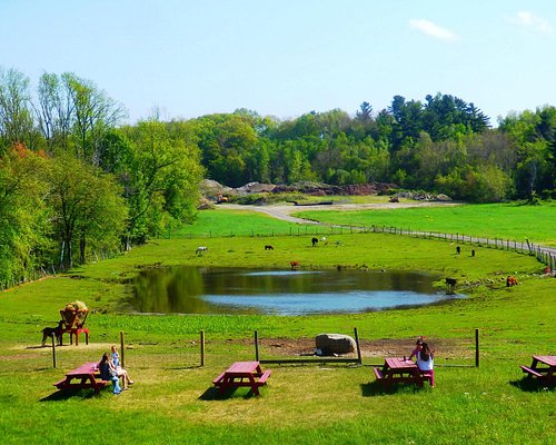 farms to visit near bradford