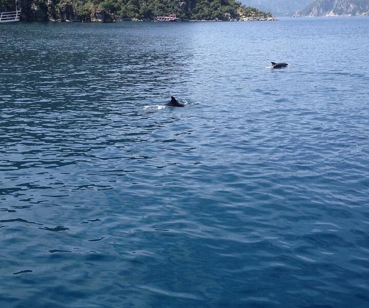 diana boat trip marmaris