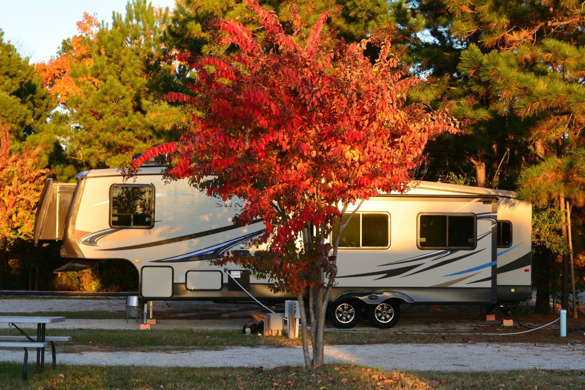 RUSK KOA Prices Campground Reviews TX