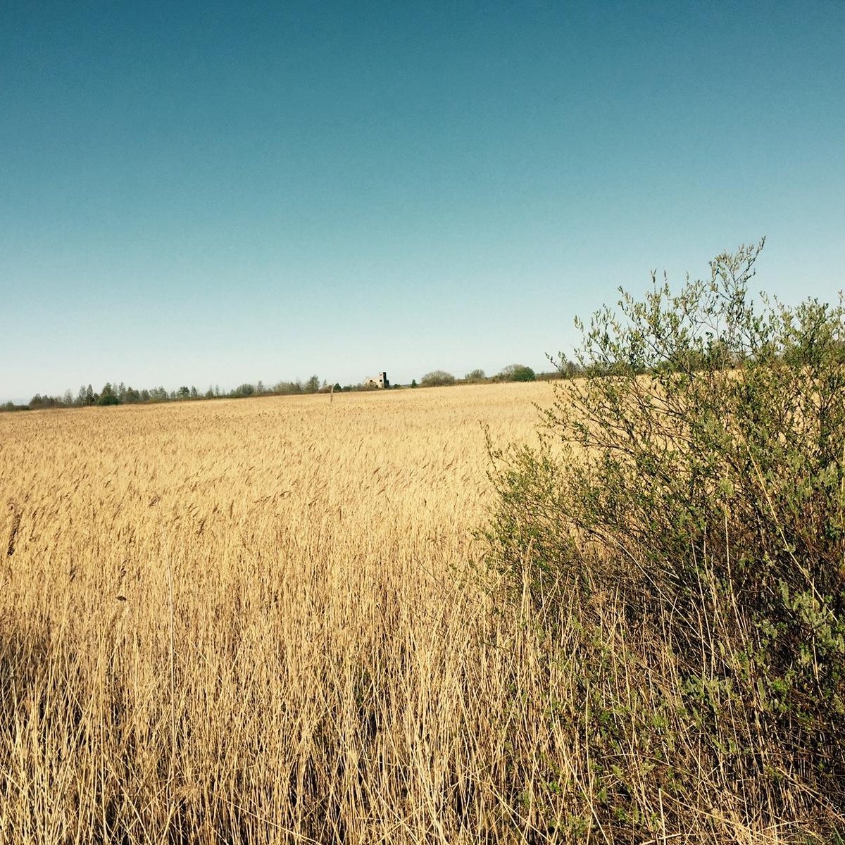 Paljassaare Special Conservation Area, Таллин: лучшие советы перед  посещением - Tripadvisor