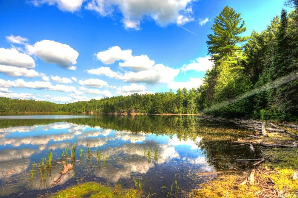 Centennial Ridges Trail Map Centennial Ridges Trail (Algonquin Provincial Park) - All You Need To Know  Before You Go