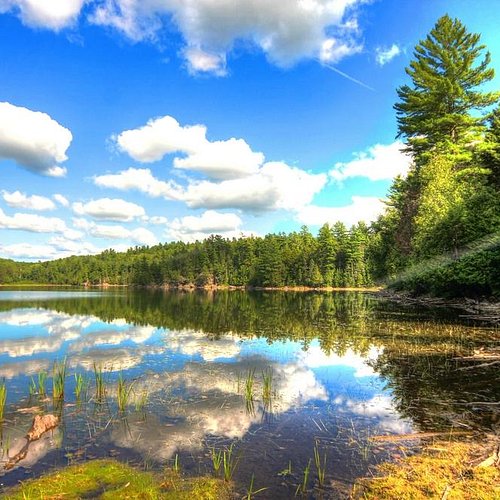 The Best Hiking Trails in Algonquin Provincial Park