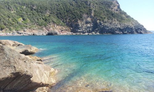l'accesso al mare a Calafuria -Sassoscritto