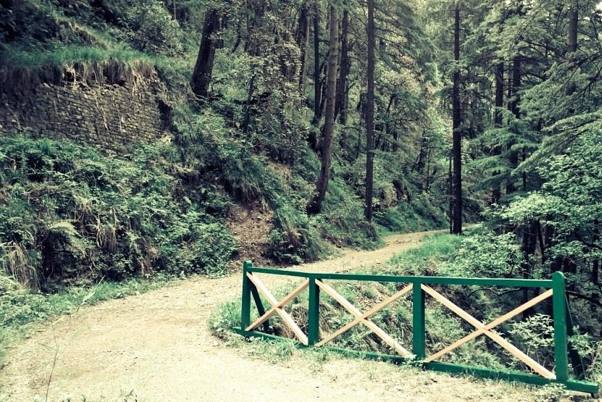 Shimla Water Catchment Wildlife Sanctuary - All You Need to Know BEFORE You  Go