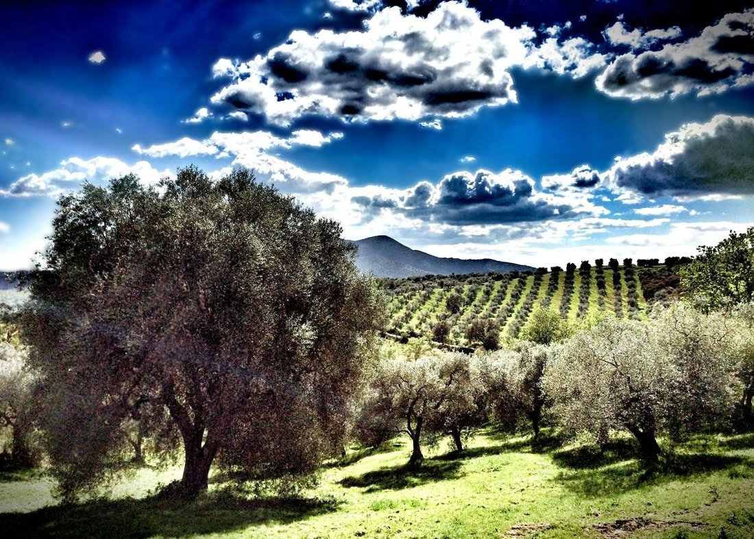 Montebelli Agriturismo & Country Hotel by null