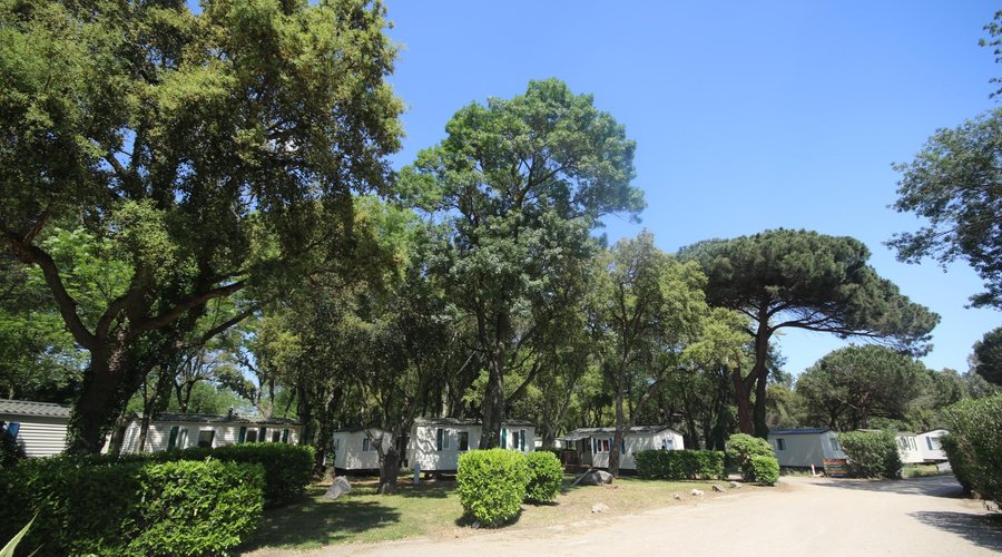 Le parc paysagé de 13 hectares