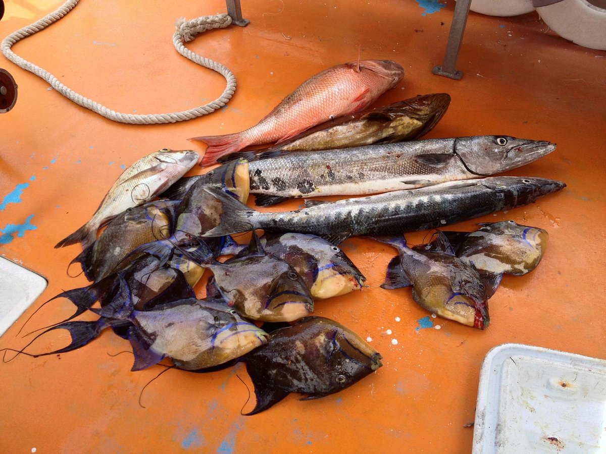 party boat fishing cancun