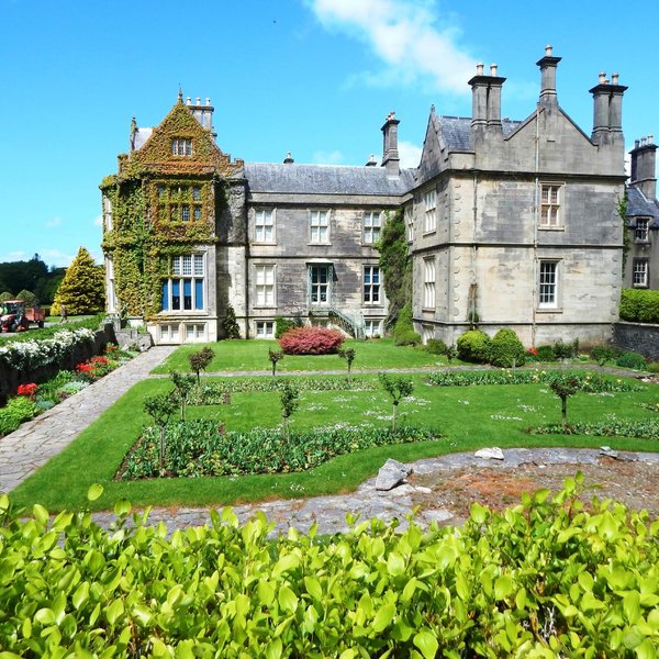 Muckross Abbey, Killarney