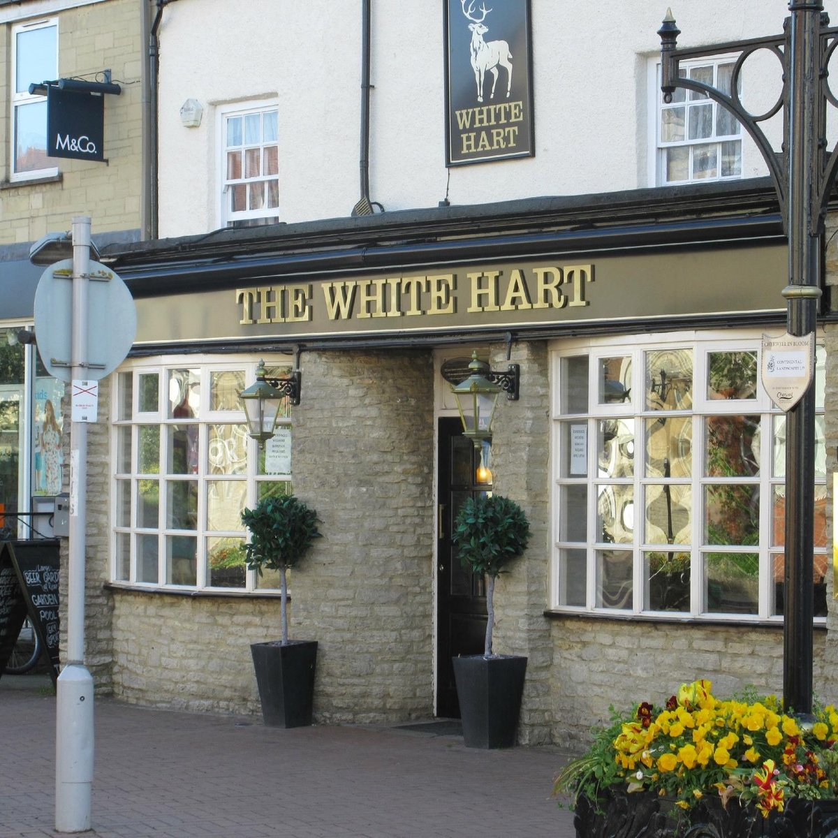 White hart