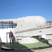 The 100-ton Gun