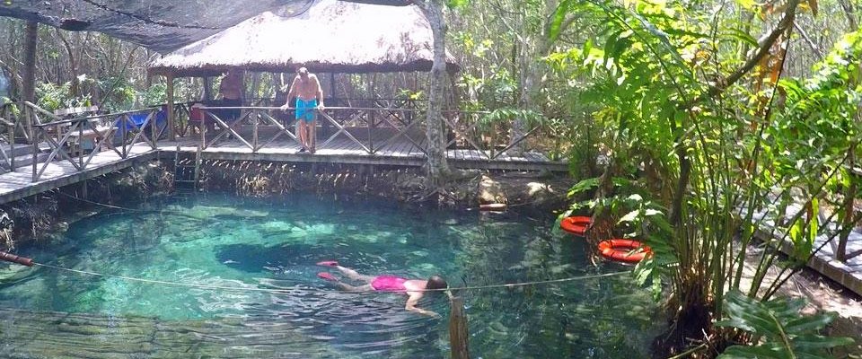 Cenote at the San Crisanto Mangrove Tour