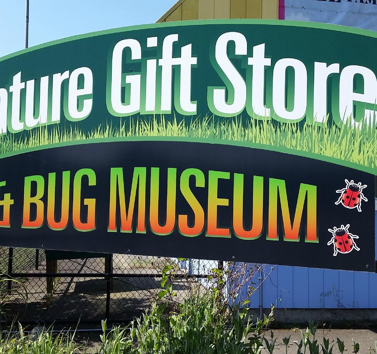 BREMERTON BUG MUSEUM (2024) All You Need to Know BEFORE You Go (with