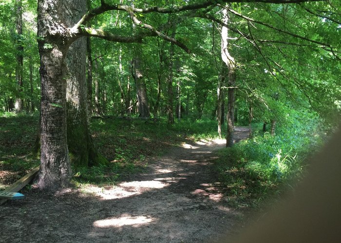 River trail