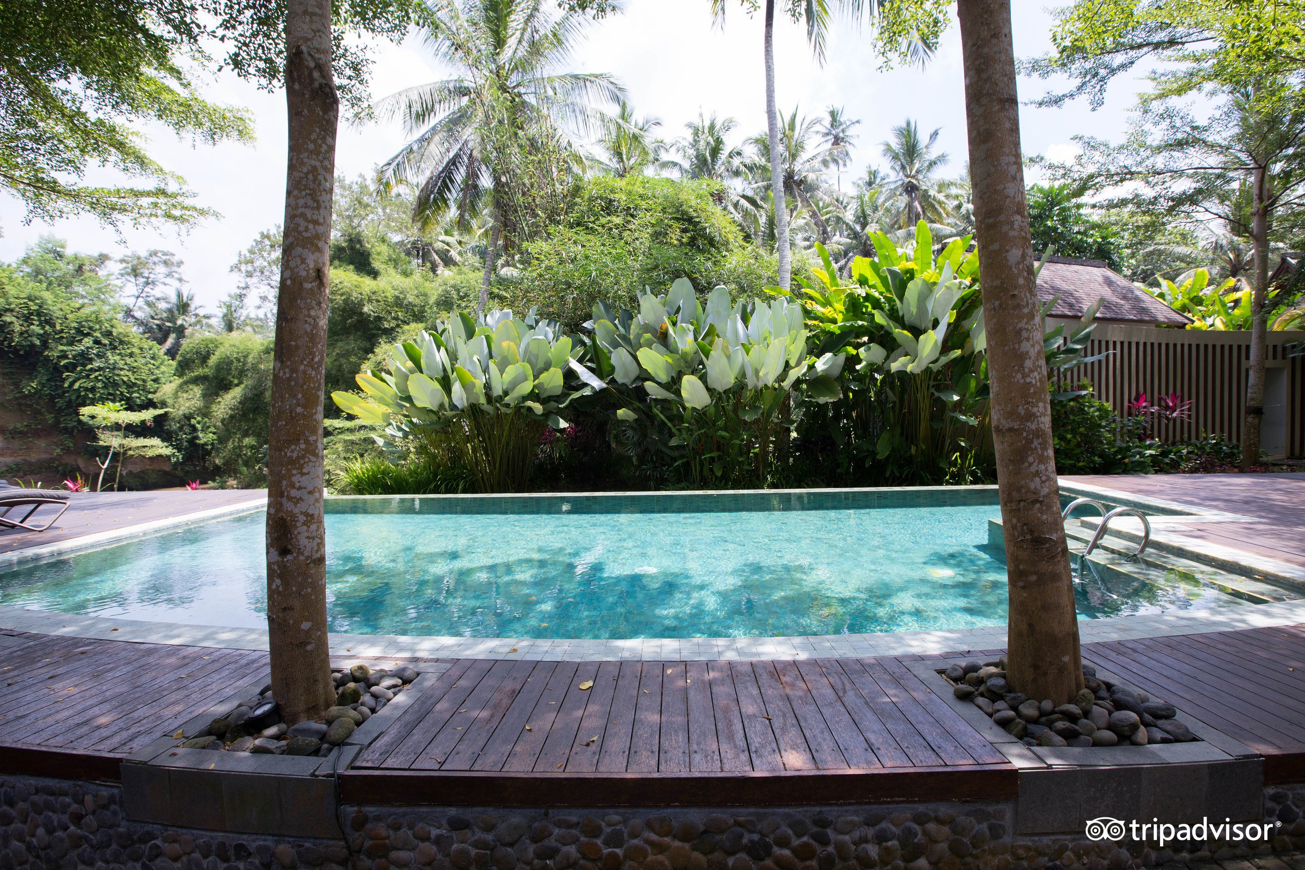 The Samaya Ubud Bali Pool: Pictures & Reviews - Tripadvisor