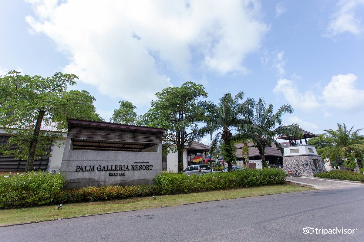 Palm galleria resort