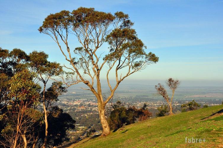 One Tree Hill Lookout All You Need to Know BEFORE You Go with