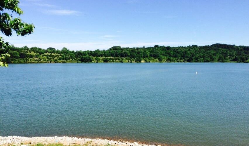 The view from the cabins! Gorgeous