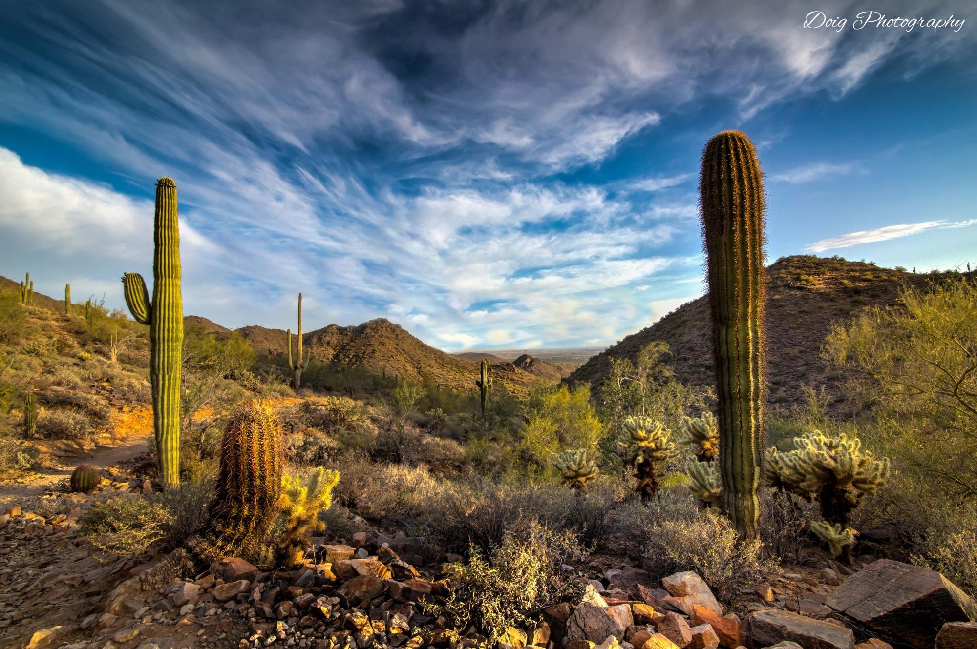 Scottsdale AZ