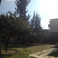 Grounds