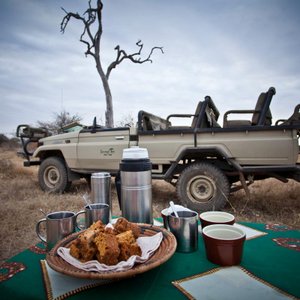 Open 4x4 Game Drives on a Big 5 Conservancy