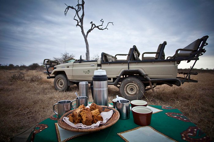 Open 4x4 Game Drives on a Big 5 Conservancy