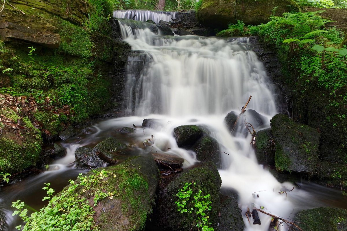 RIVELIN VALLEY NATURE TRAIL SOUTH YORKSHIRE INGLATERRA