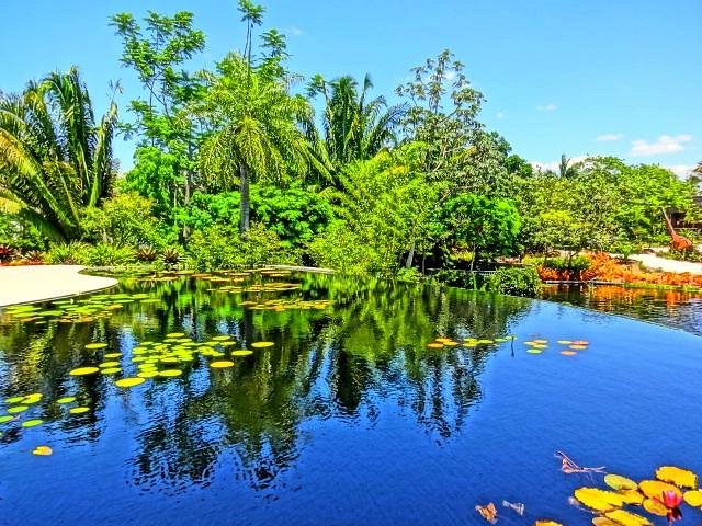 Naples Botanical Garden image