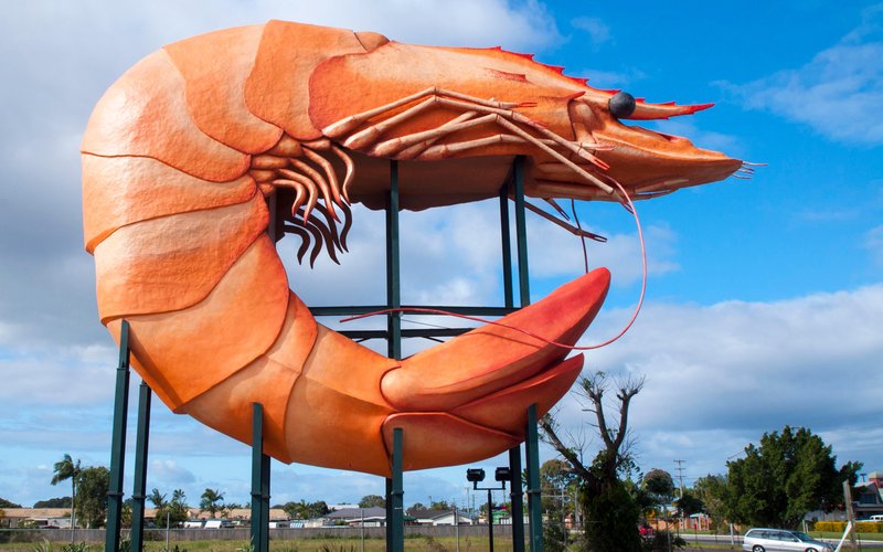 THE 10 BEST Things to Do in Ballina - Updated 2021 - Must See ...