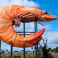 The "Giant" Prawn