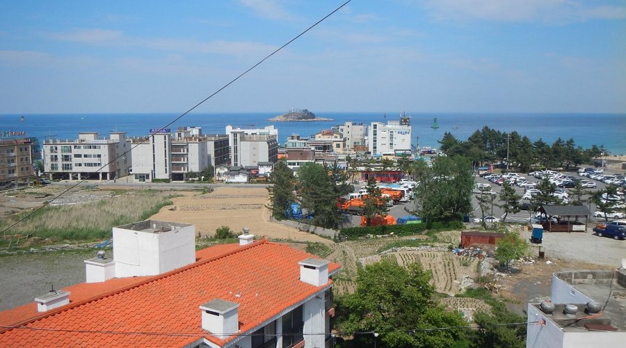 view