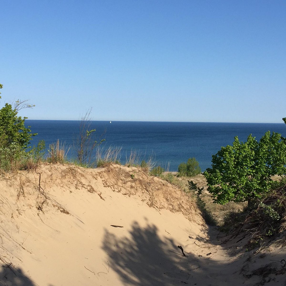 Grand Mere State Park (Stevensville) All You Need to Know BEFORE You Go