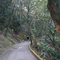 Old Peak Road