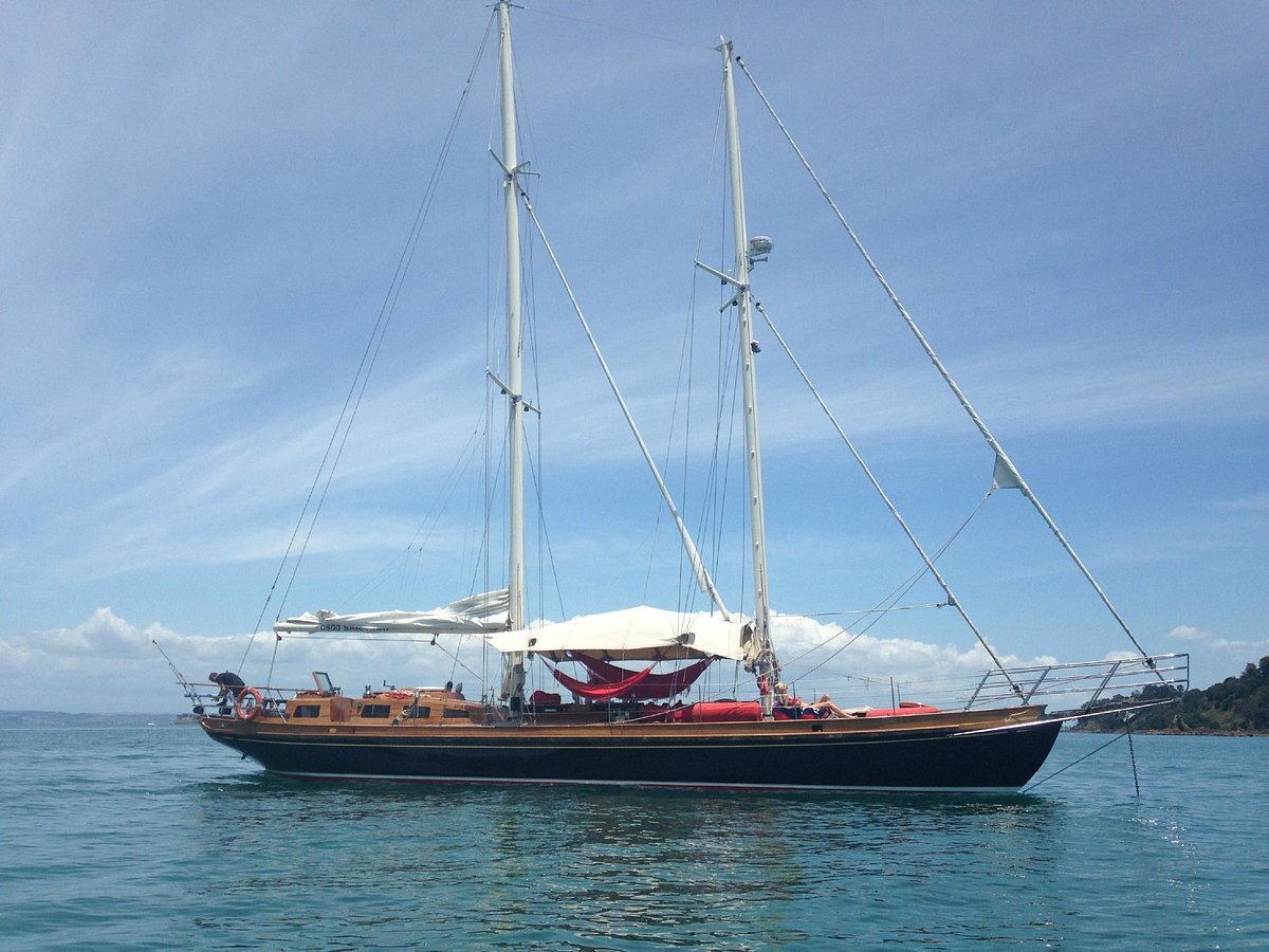 marlin yacht auckland