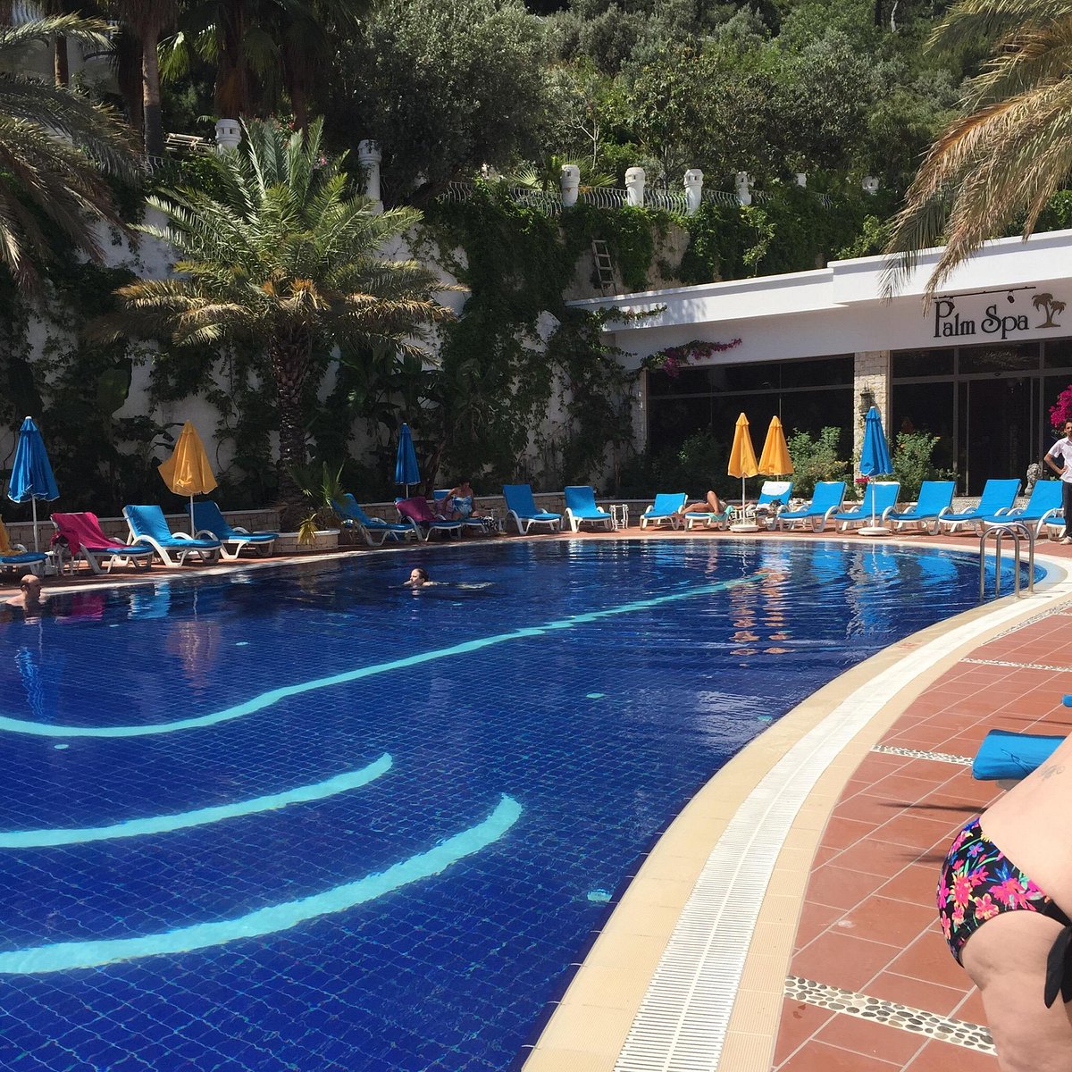 Flamingo hotel oludeniz. Flamingo Spa Олюдениз. Flamingo Турция, Олюдениз. Отель Flamingo Hotel Oludeniz Турция. Flamingo Hotel Spa Турция.