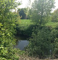 Needham Lake